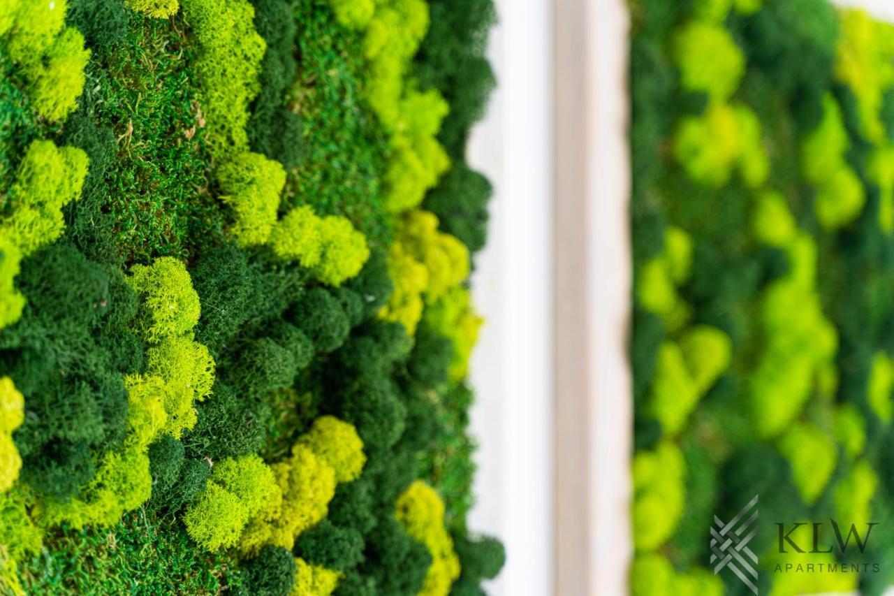 Klw Apartments Garden Centrum - Klimatyzacja Štetín Exteriér fotografie